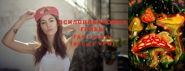 молекула духа Медногорск