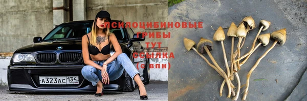 дживик Баксан