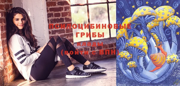 дживик Баксан
