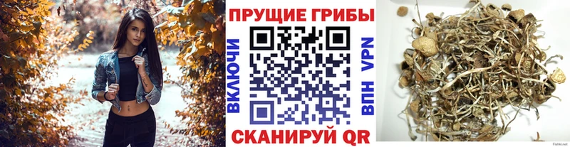 Псилоцибиновые грибы мицелий  Окуловка 